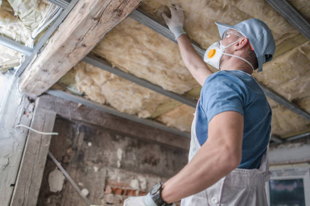 Best Commercial Insulation in Leesburg, VA