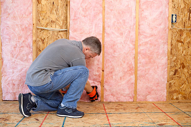 Best Residential Insulation in Leesburg, VA